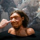 Il volto del primo uomo di Neanderthal