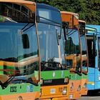 Mille autobus per gli enti locali