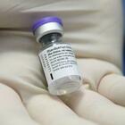 Terza dose vaccino, Pfizer: «Ecco i primi dati, anticorpi più alti contro variante Delta»