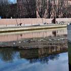 Milano, Darsena in secca e piena di rifiuti (Fotogramma)
