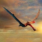 Il "drago" che volava sull'Australia 105 milioni di anni fa