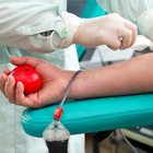 Coronavirus, manca il sangue: appello ai donatori Uscire di casa è legittimo Dove donare nel Lazio