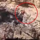 Tuffo dal punto più alto della scogliera in Salento, 24enne scivola e batte contro la roccia: è grave