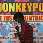 Vaiolo delle scimmile, l'Oms dichiara l'emergenza sanitaria globale