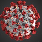 Coronavirus, da un farmaco contro il mieloma una via per la lotta a Covid-19