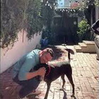Tiziano Ferro adotta il cane Gianni: «Abbandonato in canile era destinato all'eutanasia»