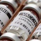 Vaccino anti Covid, niente obbligo per i vegani