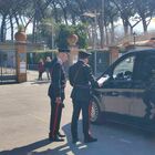 immagine Scavi di Pompei, controlli anti-abusivismo: multe e denunce