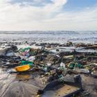 Legambiente: «L'80% dei rifiuti presenti in mare è di plastica»