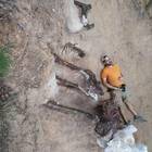 Dinosauro più grande d'Europa trovato nel giardino di casa: lo scheletro è lungo 24 metri