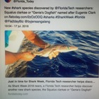 Scoperto un nuovo squalo "alieno" (foto Florida Today Mar Alliance)