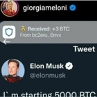 Giorgia Meloni hackerata, su Instagram spuntano strani messaggi fake su Musk: «Grazie Elon, free Btc». Cosa significa