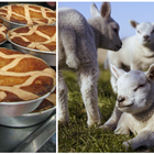 Pasqua, la carne costa troppo: niente agnello sulle tavole degli italiani. E da Nord a Sud tutti mangeranno la pastiera