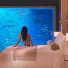 All'Atlantis The Palm Dubai si dorme sott’acqua con i delfini