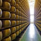 Intesa Sanpaolo: 40 milioni euro alla filiera del Parmigiano