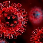 Virus parainfluenzali scatenati