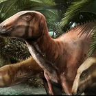 Jurassic Park a Trieste, scoperto "branco" di 11 dinosauri di 80 milioni di anni fa