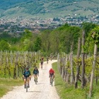 Ciclismo, già in 800 per la Nova Eroica Prosecco Hills Conegliano Valdobbiadene sulle Colline Unesco