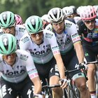 Giro d'Italia, a Canale va in porto la fuga: Van der Hoorn anticipa Cimolai e Sagan