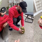Come aprire un ananas senza coltello? Due ragazzi ci mostrano una tecnica incredibile