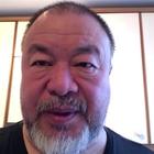Coronavirus, il videomessaggio di Ai Weiwei : «A casa ma uniti»
