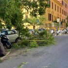 Nubifragio a Roma, auto intrappolate in Prati. Code su Tangenziale Est per albero caduto sulla rampa Salaria