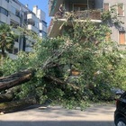 Maltempo a Milano, mamma salva i figli intrappolati in auto: «Un albero caduto accanto a noi, poi sfiorati dal fulmine»