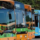 De Micheli: allo studio app per evitare affollamento sugli autobus