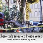 Albero cade su auto in transito a Piazza Venezia
