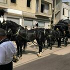 Funerale con carrozza e quattro cavalli neri: l'ultimo saluto che blocca un paese intero