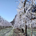 Temperature in picchiata: Asiago -6, Cortina -2 , minime da 1 a 5 gradi in tutte le province. Le più fredde Vicenza e Treviso