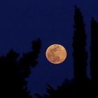 Ecco la Luna rosa: sarà visibile fino a Pasquetta