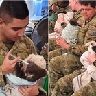 Soldati australiani si prendono cura dei koala nel loro tempo libero: la foto è virale