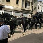 Funerale con carrozza e quattro cavalli neri: l'ultimo saluto che blocca un paese intero FOTO