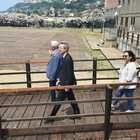 immagine L'elioterapia torna a Bagnoli con la riapertura del Lido Comunale
