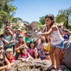 Animali curati e liberati dalla Forestale: centinaia di bambini hanno partecipato all'evento nell'area di Fogliano
