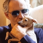 Andrea Bocelli, l'addio al cane Pallina: «È il momento di fare spazio nel cuore per te»