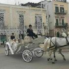 Comunione da "regina": giro sulla carrozza trainata da cavalli per la città, la foto è virale