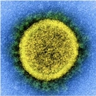Omicron 5, perché «l'immunità ibrida» da vaccino e contagio non protegge dalle nuove infezioni