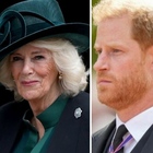 «Harry geloso del rapporto tra William e Camilla», il sospetto dietro l'avvicinamento tra il principe e la regina