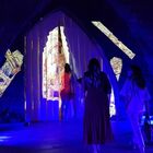 Montalcino, apre il Tempio del Brunello: museo da assaporare tra vino, olio e "voli" 3D