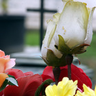 Va al cimitero per visitare la tomba della moglie: si sente male e muore