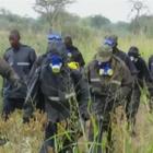 Locuste devastano l'Africa, l'Uganda schiera l'esercito