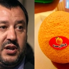Matteo Salvini contro le arance africane in Parlamento, critiche dai grafici: «E' photoshoppata»