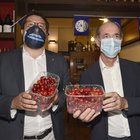 Salvini e Zaia mangiano le ciliegie