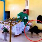 Un cane entra in chiesa, il prete lo prende a calci: «Gesù non vuole». Il video choc diventa virale