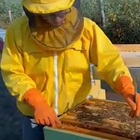 Da Ufficiale della Marina a apicoltore nel borgo da 640 abitanti: «Guadagnavo e spendevo tanto, ma per essere felici non basta»