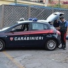 Carabiniere investito da auto che non rispetta l'alt e fugge: il pirata ha la patente scaduta