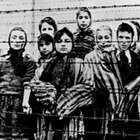 Auschwitz, il campo di sterminio