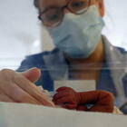 Neonato in gravi condizioni: ha contratto il covid dalla madre positiva e non vaccinata